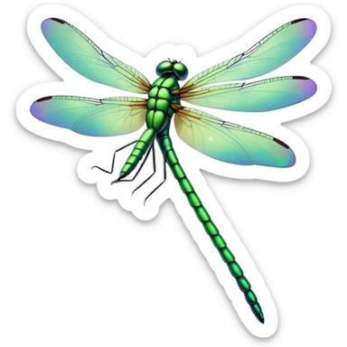 Green dragonfly sticker