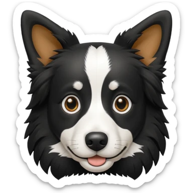 border collie preto e branco fotografo 
 sticker