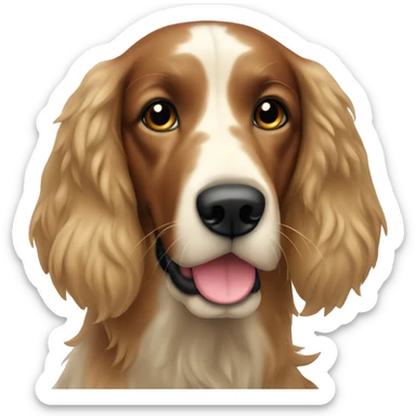 Setter anglais  sticker