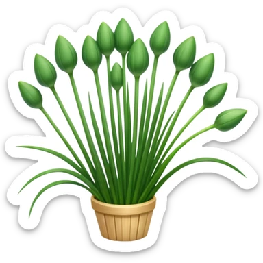 chives  sticker