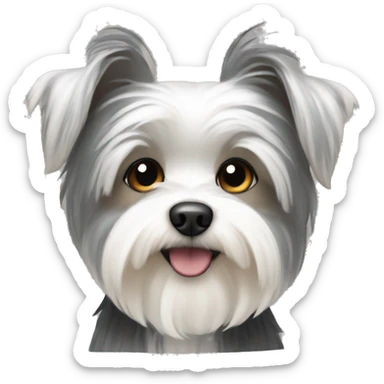 gray and white morkie sticker
