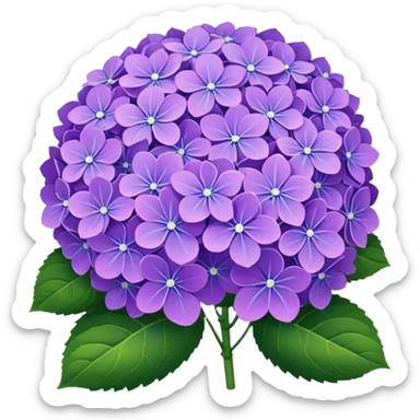 Hydrangeas sticker