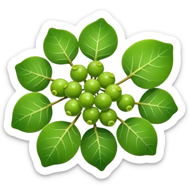 sea grape which is green looking like a grape. but way more tiny ones sticker