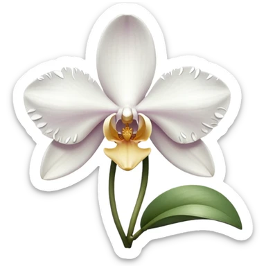 orchid sticker
