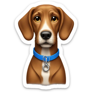 Brown hound dog with blue collar sticker