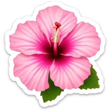 Pink hibiscus  sticker