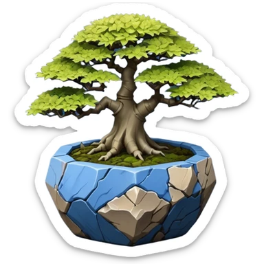 Singapore very old broken Stone Age rocky-crusted dodecahedron-shaped shallow dark moss rough bark blue maple tree bonsai pot sticker