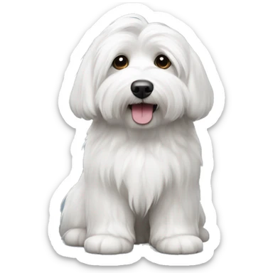 Coton de tulear that’s grey and white  sticker