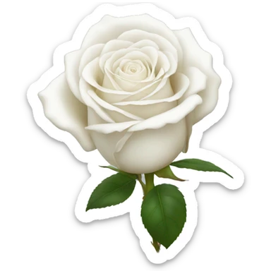 white rose  sticker