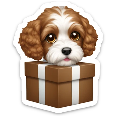 Brown and white cavapoo with gift box sticker