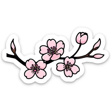 beautiful pink sakura cherry blossom flower sticker