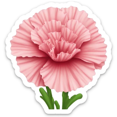 carnation flower sticker