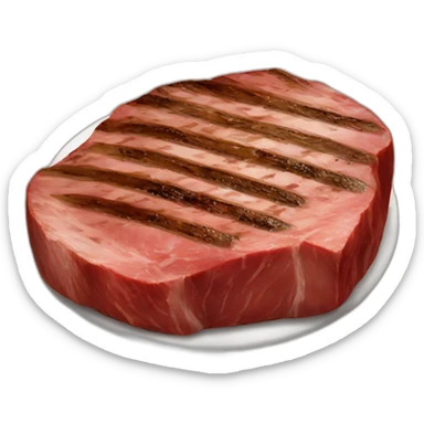 Steak on grill  sticker