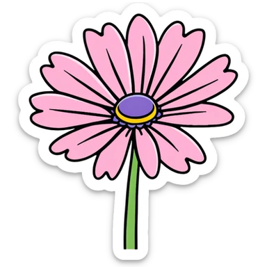 pink African daisy flower, Osteospermum, single flower with pink petals sticker