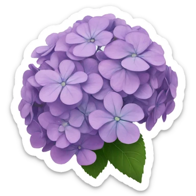 hydrangeas sticker