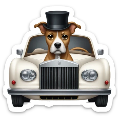 Dog in rolls Royce  sticker