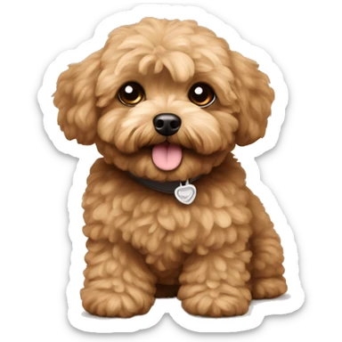 Brown Maltipoo with name “Finik” sticker