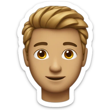 programmer is of wheatish complexion, neither tall nor short, with somewhat soft hair. When styled, their hair tends to be somewhat thick on the top and relatively thin on the sides. sticker