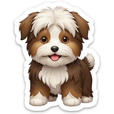 Havanese dog sticker