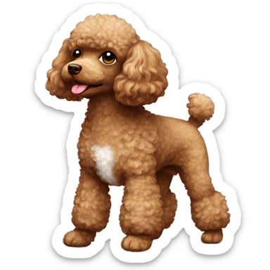 Toy poodle,brown sticker