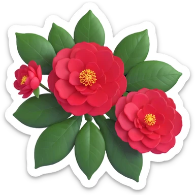 Detailed camellia bloom with formal double form, perfect spiral arrangement of overlapping deep red petals and characteristic glossy oval leaves with fine serrated edges sticker