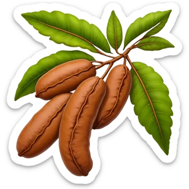 tamarind fruit with leaf sticker