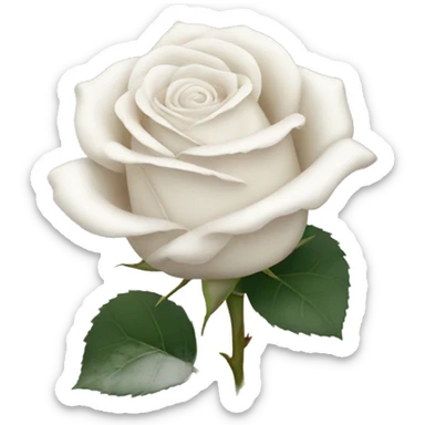 white rose with no leaves sticker