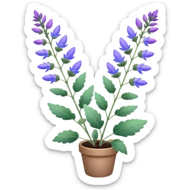 clary sage plant with purple and blue colors, no pot, isolated sticker