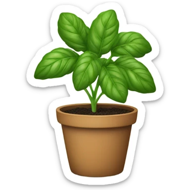 Basil pot plant sticker