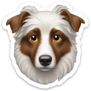 Berger australien noir tricolore yeux bleus et maron sticker