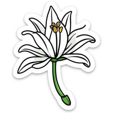 white lily sticker
