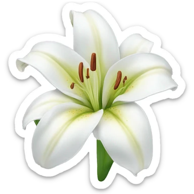 white lily flower  sticker
