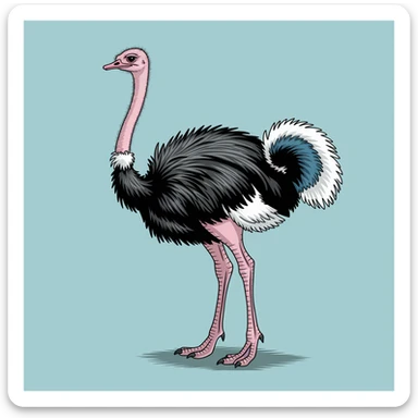 Ostrich sticker