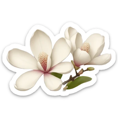 Magnolia flowers  sticker
