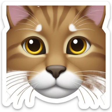 brown cath with white paws and white belly sticker