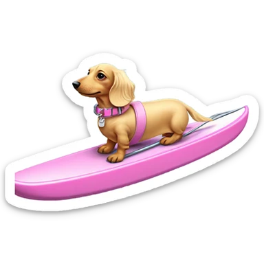 Long haired miniature dachshund cream colour with pink collar on waterskis sticker