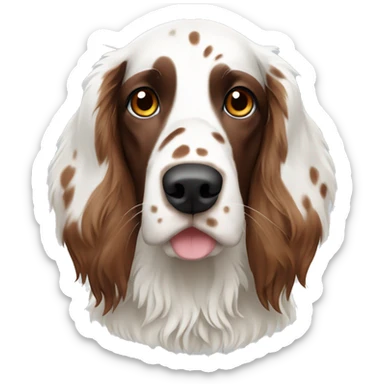 White and brown english setter with Brown ears  sticker