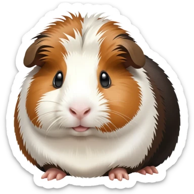 Black brown and white guinea pig sticker
