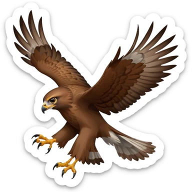 Hawk getting cat sticker