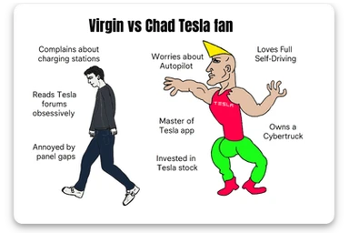 make virgin vs chad meme on tesla fan in above style  sticker