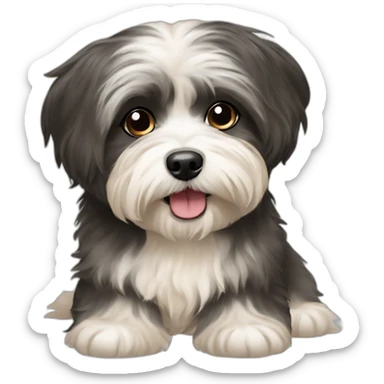 Havanese sticker
