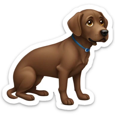 Brown Labrador sitting  sticker