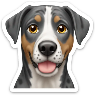 Catahoula sticker