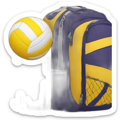 a volleyball bag called the volleyvoyager, include an airplane sticker