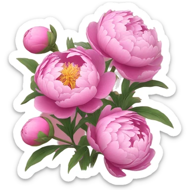 Peony flowers sticker