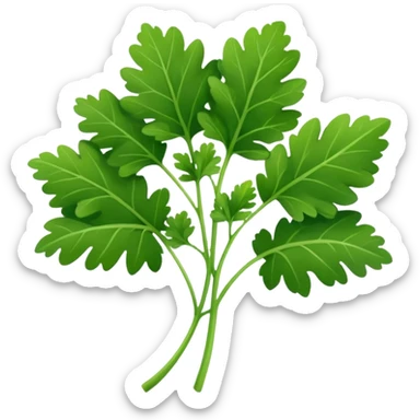 cilantro sticker