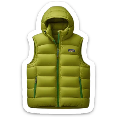 patagonia gilet sticker