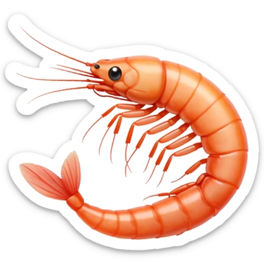 White shrimp  sticker