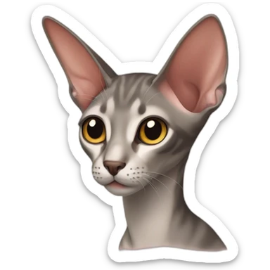 Oriental shorthair sticker