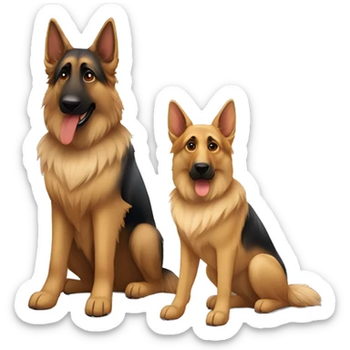 male long haired german shepherd with black eyes sitting next to female short haired german shepherd with brown eyes  sticker